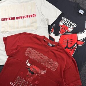 Chicago Bulls Bundle of 3 Men's L T-Shirts Vintage 90s The-Game NBA Basketball